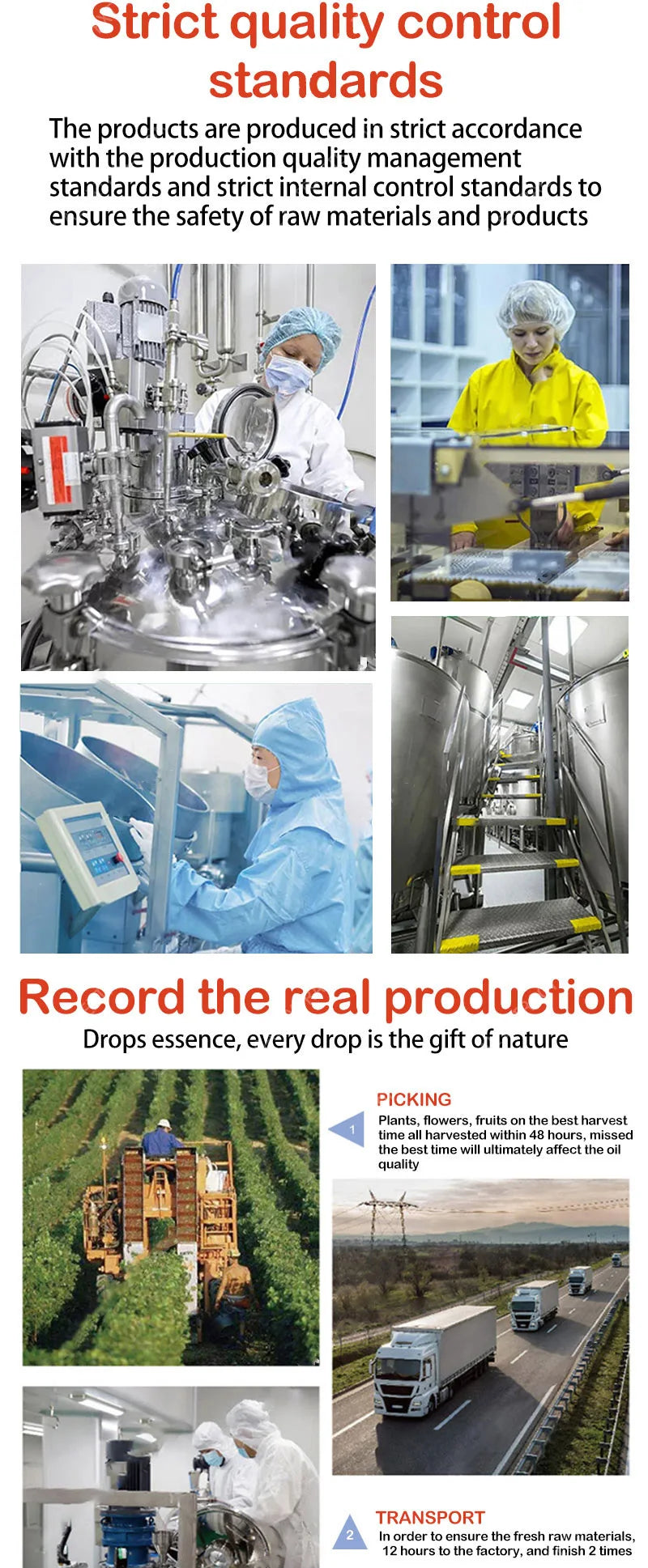 Pore Shrinking Serum – Tightening & Minimizing Large Facial Pores