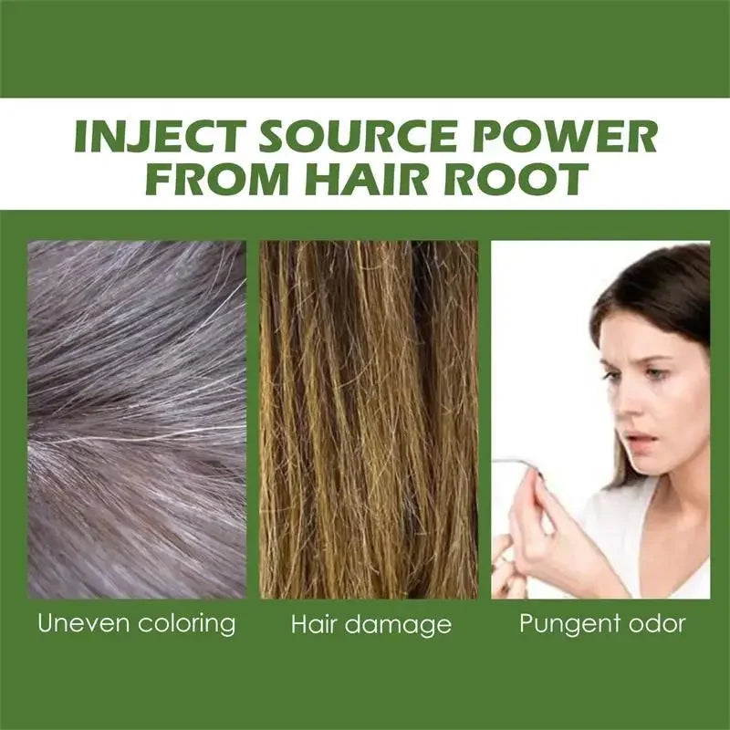 Herbal Hair Dye Shampoo – Natural Gray Coverage in 5 Minutes